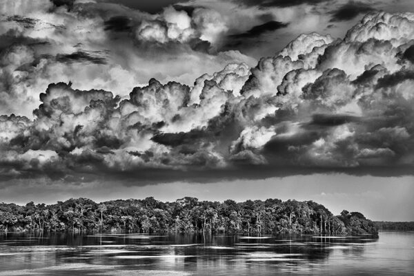 An Amazonian landscape with a massive cloud formation.