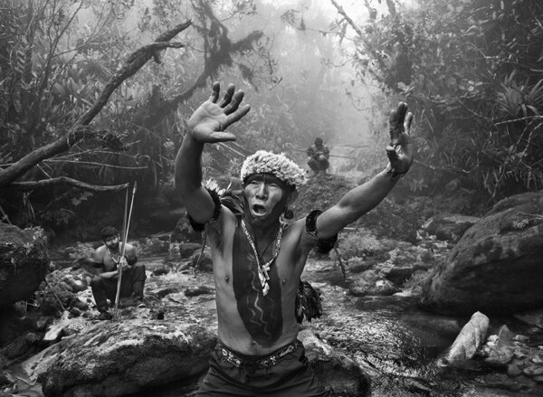 Man in the forest raises his arms as if in a dance rite.