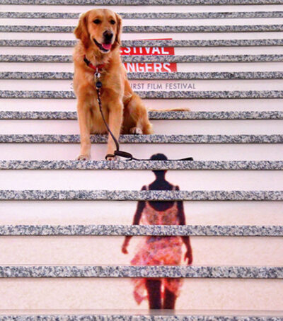 La culture accessible à tous.