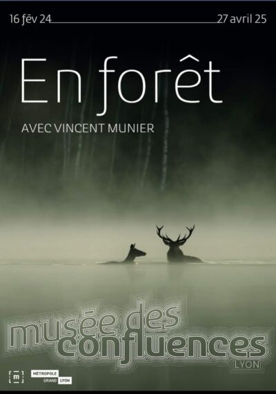 Affiche En forêt avec Vincent Munier